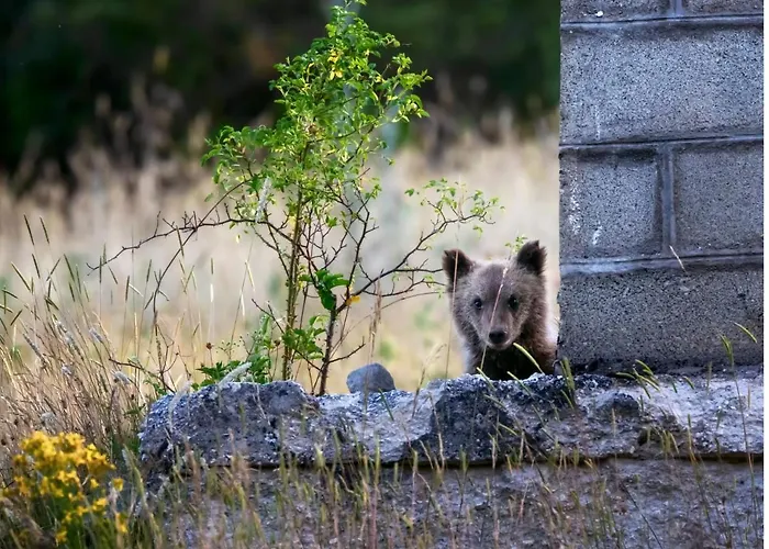 Апартаменты Europa Casa Vacanze