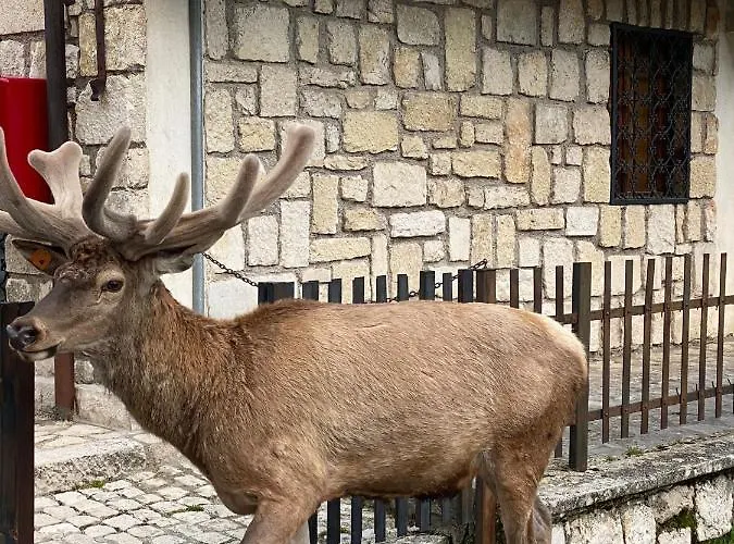 Appartamento Europa *